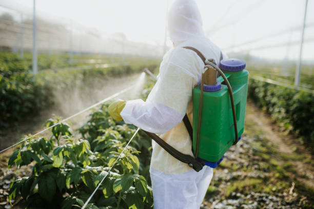 Indoor Pest Control in Wesleyville, PA